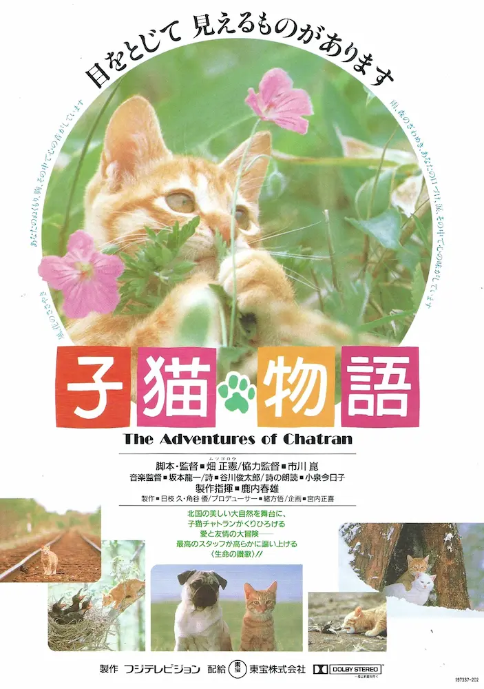 198607 子猫物語 映画チラシ 01A